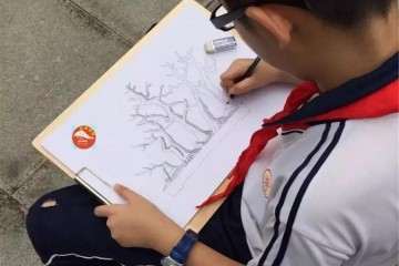 总结了几点让孩子爱上盆景的好处