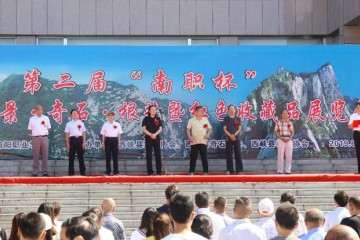 第二届伏牛山盆景收藏品展览会开幕