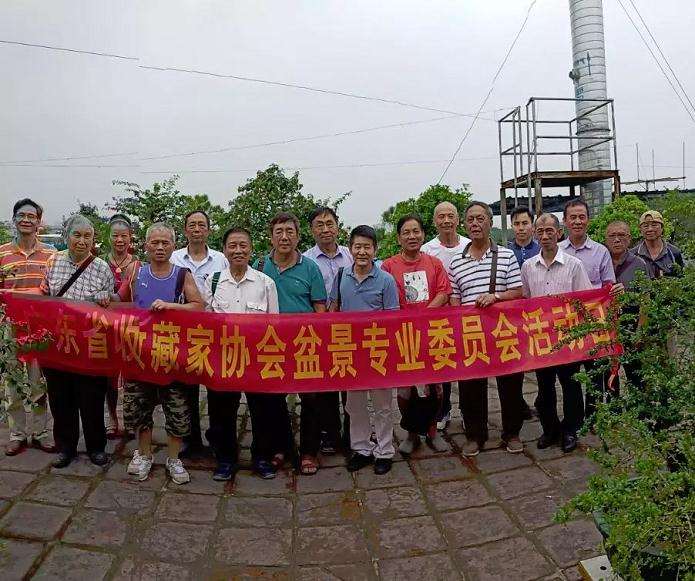 佛山盆景协会专委会举行第二次活动日