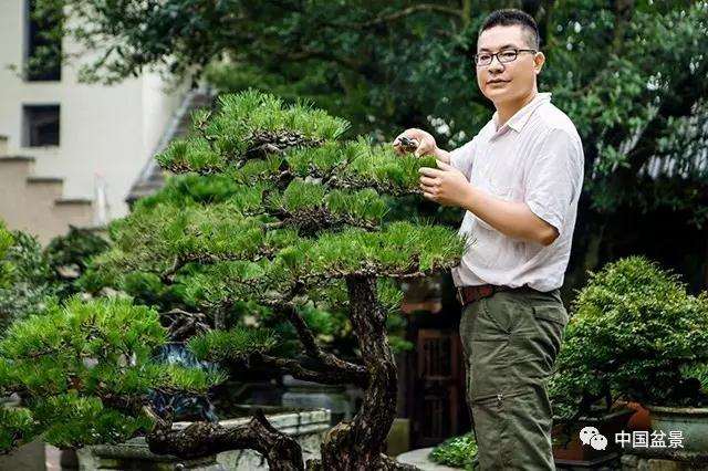 重庆盆景五巅首次亮相能予守艺馆