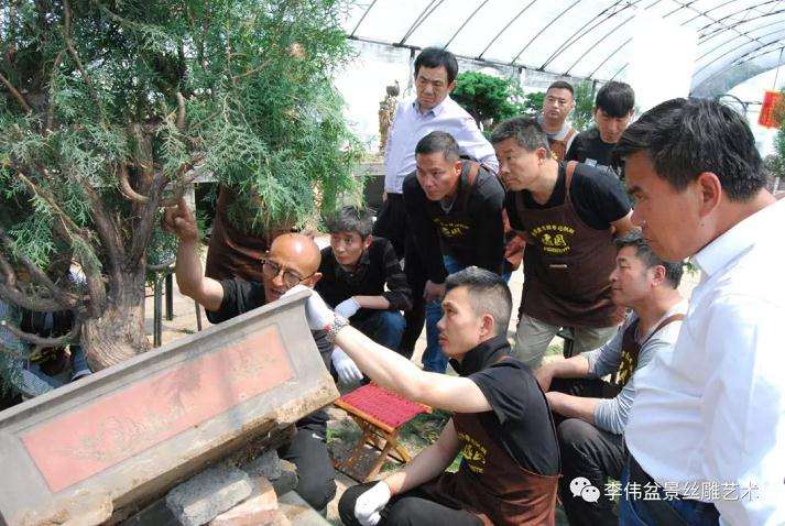 逸园盆景丝雕培训班第七期开课通知