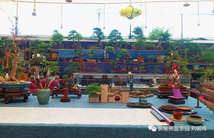 关于盆景怎么用土的方法