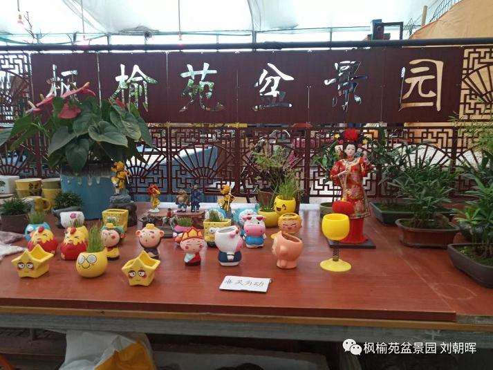 关于盆景怎么用土的方法