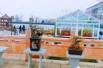 迎春园盆景微观宣传图册设计