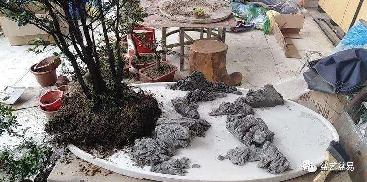 黑檀水旱盆景怎么制作的方法