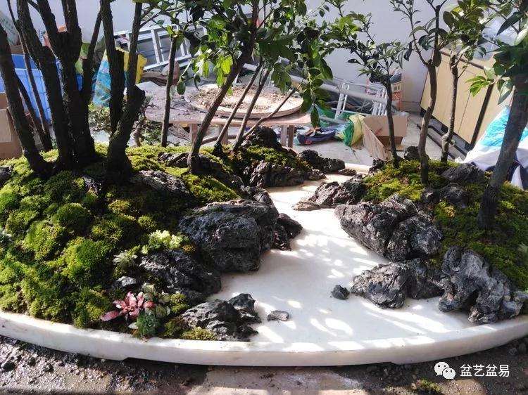 黑檀水旱盆景怎么制作的方法