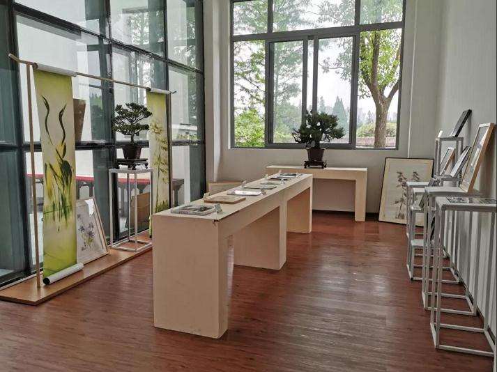 2019年 上海植物园盆景历史回顾展明日开幕