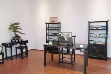 2019年 上海植物园盆景历史回顾展明日开幕