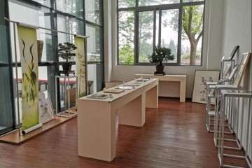 第十二届粤港澳台盆景博览会 参展作品