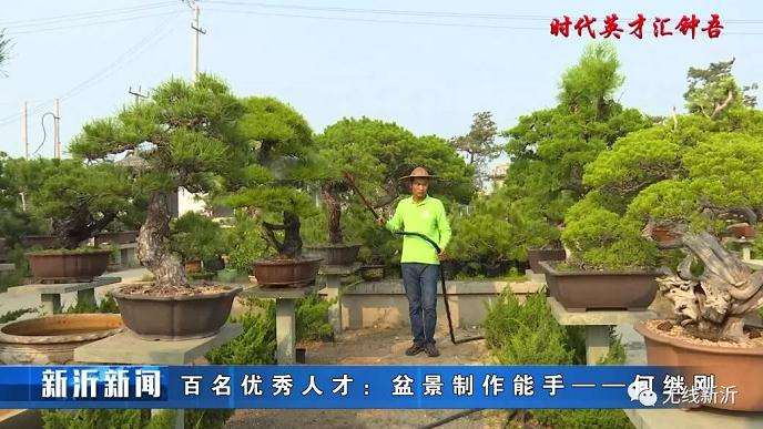 何继刚掌握了独特的盆景扦插技术