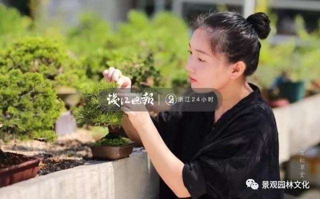 90后小夫妻痴迷盆景