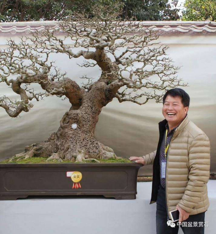 军人走上了以盆景为业的自主创业之路