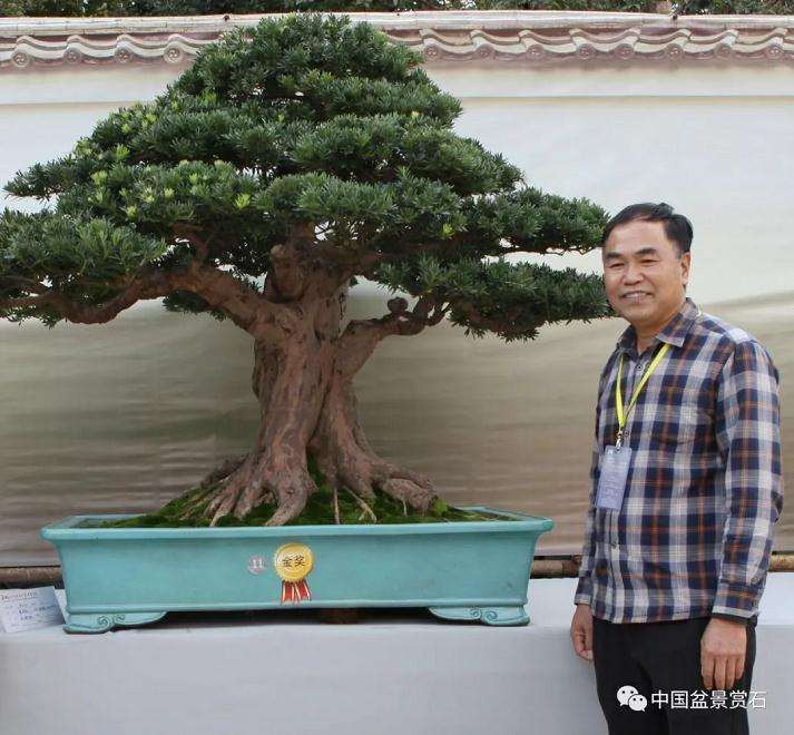 岭南盆景的十八刀拿弯技术