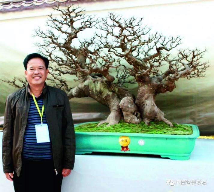 韦汉新退伍后专门从事盆景研究和创作