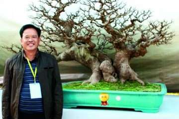 韦汉新退伍后专门从事盆景研究和创作