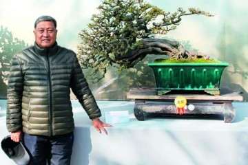 刘学武先生制作盆景40多年 图片
