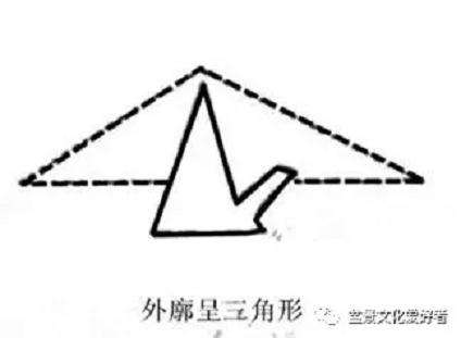 直斜型盆景怎么造型的技巧