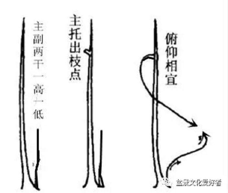图解 高飘双干直斜式盆景怎么造型