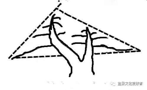 健壮双干直斜式盆景怎么造型