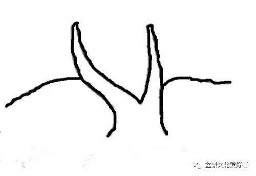 健壮双干直斜式盆景怎么造型