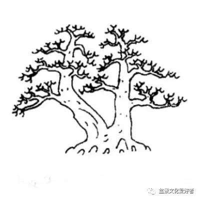 图解 健壮双干直斜式盆景怎么造型