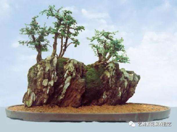 盆景怎么配盆及几座的方法