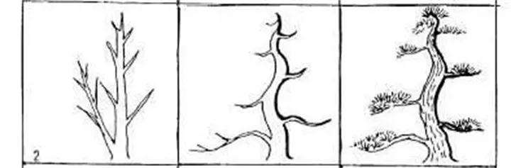 图解 盆景枝条怎么造型的方法