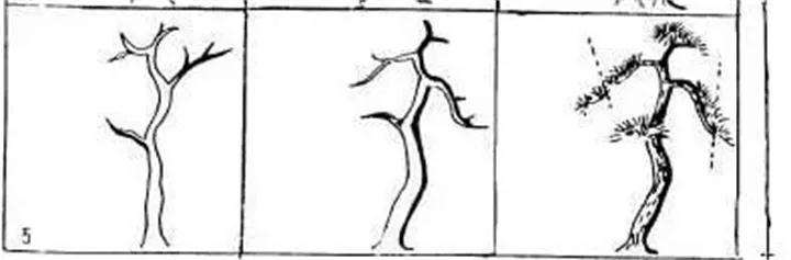图解 盆景枝条怎么造型的方法