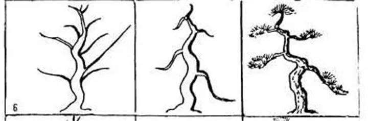 图解 盆景枝条怎么造型的方法