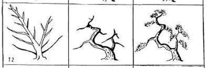 图解 盆景枝条怎么造型的方法
