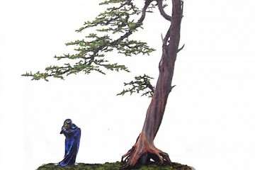 赏玩盆景如何体会所蕴含的意境