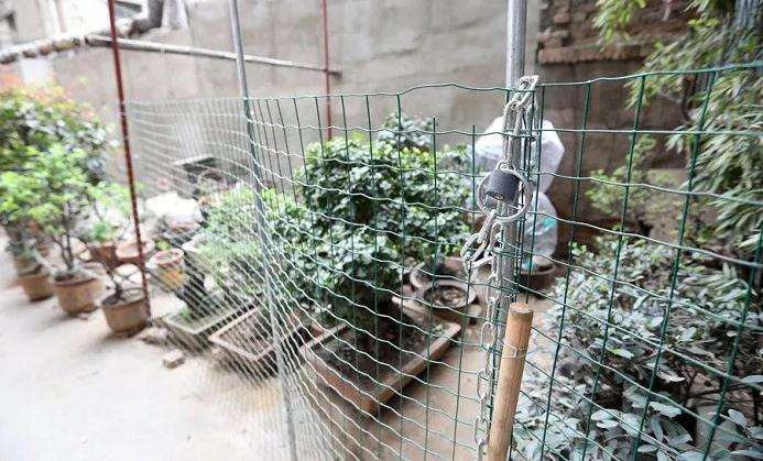 淮安7旬老人用六年时间打造一个私家盆景园