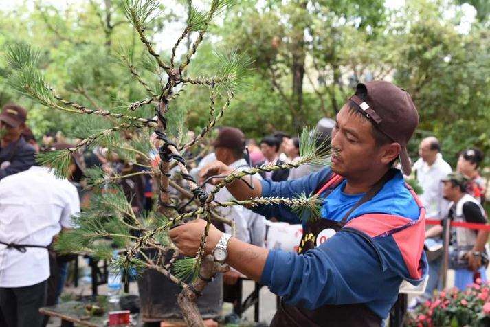 2019年中国BCI盆景精品邀请展