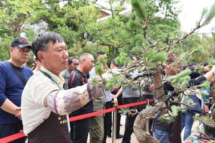 2019年中国BCI盆景精品邀请展