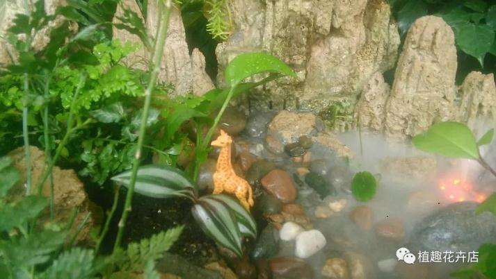 怎么用大理石自制山水盆景