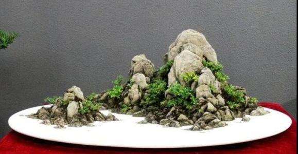 大理石盆景盆该怎样保养