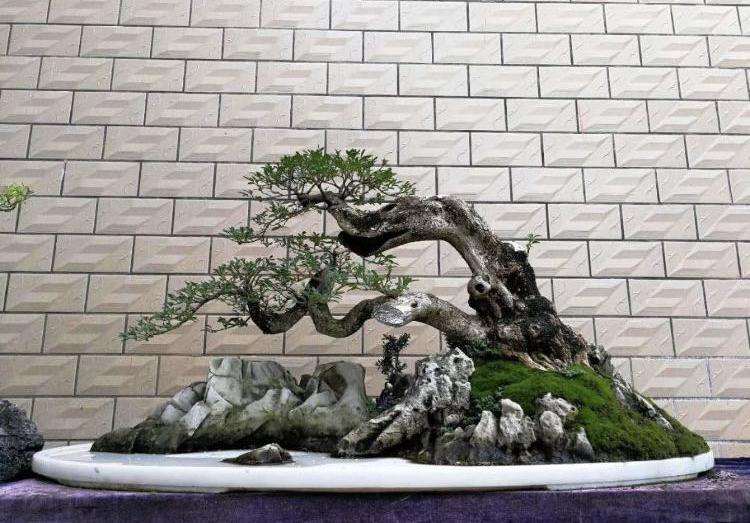 大理石盆景盆该怎样保养