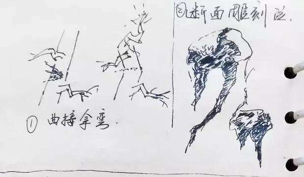 对节白蜡老桩盆景的造型设计图