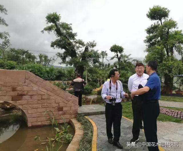 BCI国际盆景艺术大师考察云南盆景