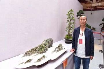 大师讲解怎么看懂盆景展
