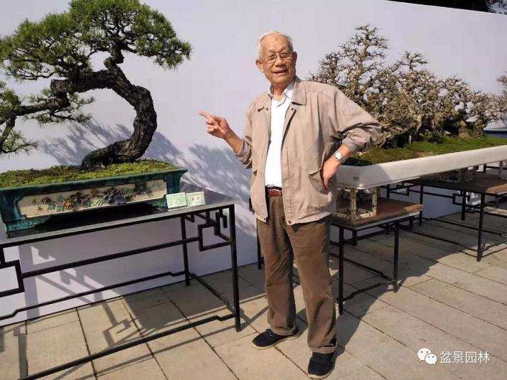 岭南盆景艺术发展的铺路人