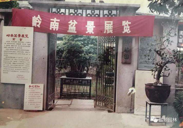 岭南盆景艺术发展的铺路人