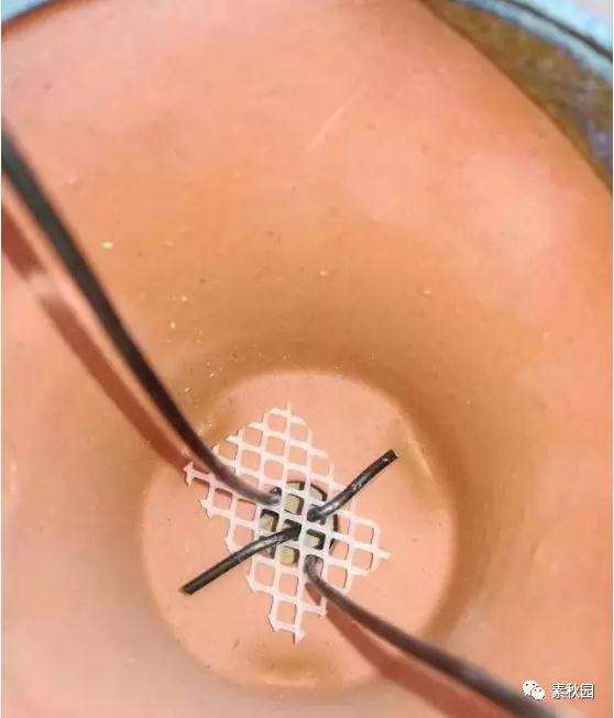 三角梅盆景怎么上盆制作