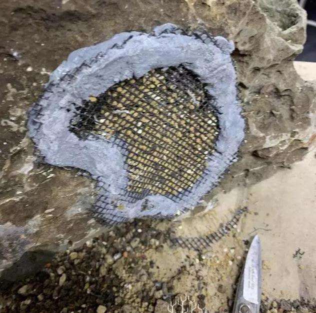 松树盆景怎么换盆的方法