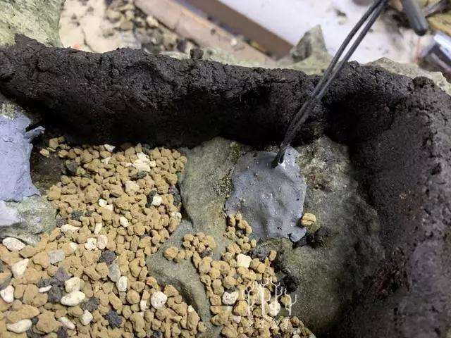 松树盆景怎么换盆的方法