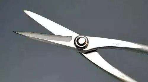 树桩盆景怎么修剪养护的方法