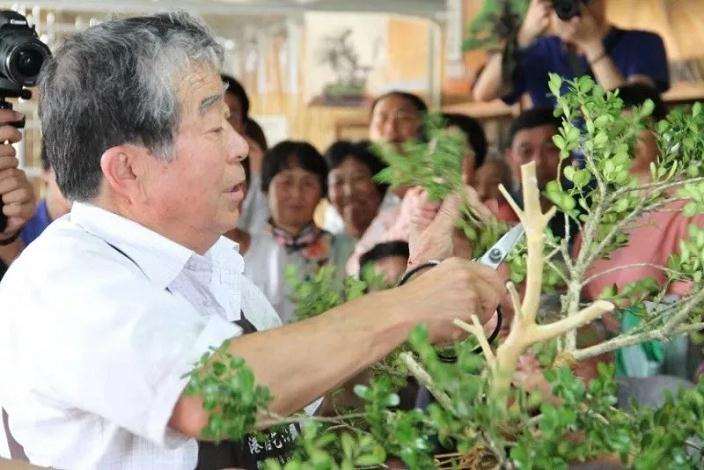 李政区长会见日本国际盆景大师小林国雄一行