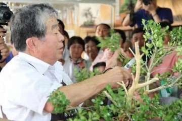 李政区长会见日本国际盆景大师小林国雄一行