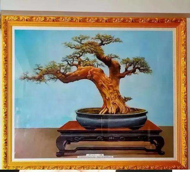 国画与盆景之间有什么联系