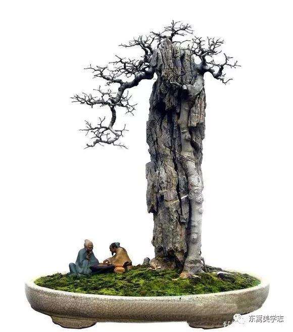 盆景中的山水情怀是什么 图片